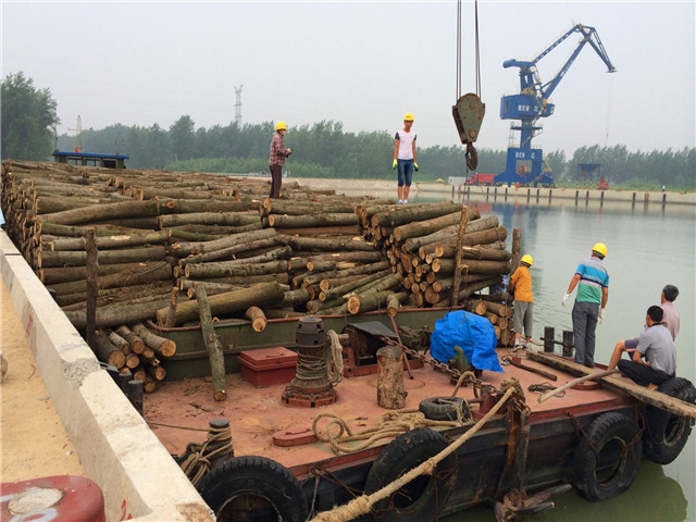 曾氏贵宾会|HOME