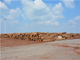 曾氏贵宾会|HOME