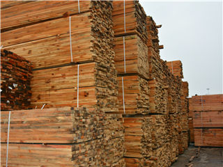 曾氏贵宾会|HOME