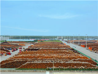 曾氏贵宾会|HOME