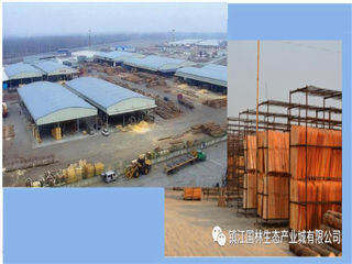 曾氏贵宾会|HOME