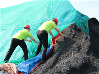 曾氏贵宾会|HOME